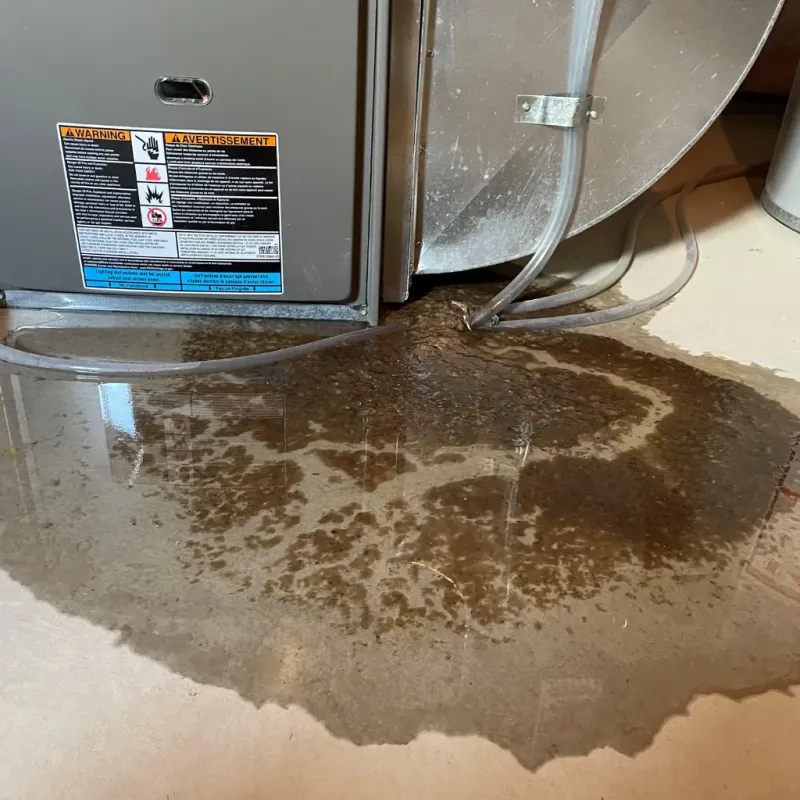 Appliance Leak Cleanup in Mitchell County, TX